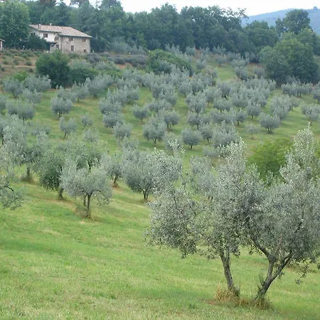 Fontevena *